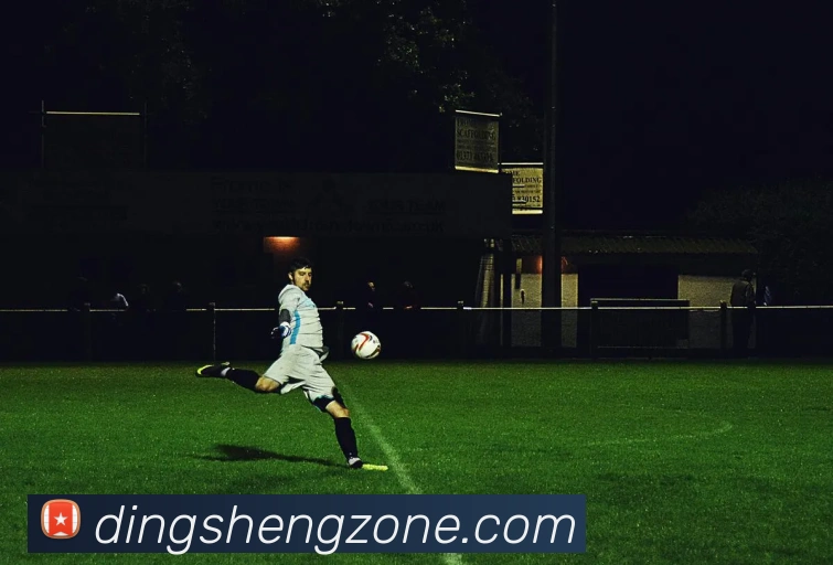 鼎盛棋牌平台生态图